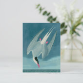 アークティックタンバードオブアメリカオードボンプリント シーズンポストカード (スタンド正面)