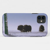 アークティックムスクオセン&トテムズウシワイルドライフアート Case-Mate iPhoneケース (裏面(横))
