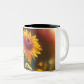 アーケインの芸術祭:魅惑の魔導師 ツートーンマグカップ (正面右)