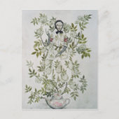 アーサー・ラッカム 木の真ん中に、ある種の木が座っていた ポストカード (正面)