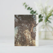 アーサー・ラッカム  – 決して疲れたこともなく、決してそう悲しむようなこともない ポストカード (スタンド正面)