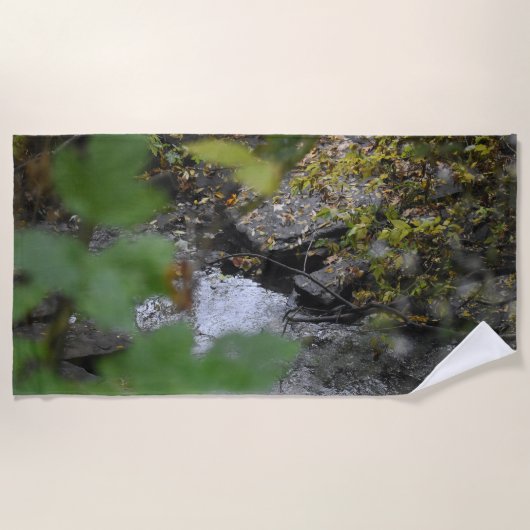 アースエンハンスメントビーチタオル ビーチタオル (正面)