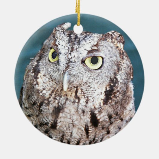 アースデイ毎日ウェスタンスクリーチフクロウ セラミックオーナメント (裏面)