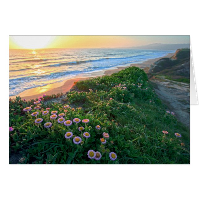 アースデー (正面横)