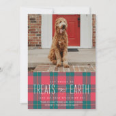 アースペットの写真の休日におやつをしてもらう 招待状 (正面)