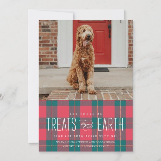 アースペットの写真の休日におやつをしてもらう 招待状 (正面)