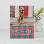 アースペットの写真の休日におやつをしてもらう 招待状 (スタンド正面)