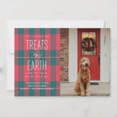 アースペットの写真の休日におやつをしてもらう 招待状 (正面)