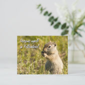 アースリス食べの葉書、カスタム文字 ポストカード (スタンド正面)