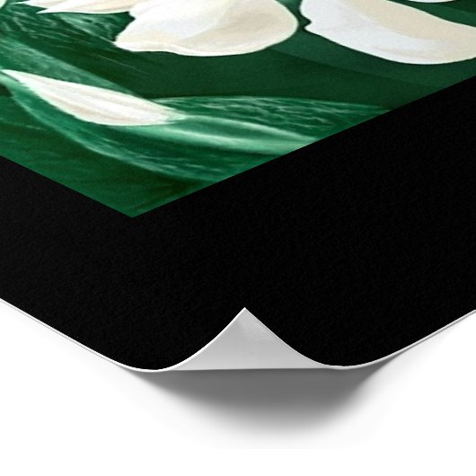 アース・ドレイク ポスター (角)