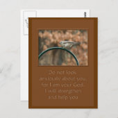 アーチの上の鳥の周りを心配して見ない ポストカード (正面/裏面)