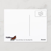 アーチの窓の歩道での日の出 ポストカード (裏面)