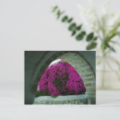 アーチを通る紫色の花。 ポストカード (スタンド正面)