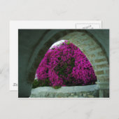 アーチを通る紫色の花。 ポストカード (正面/裏面)