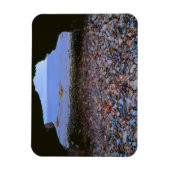 アーチウェイが船酔いに繋がる マグネット (縦)