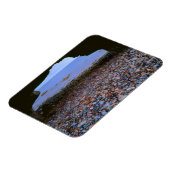 アーチウェイが船酔いに繋がる マグネット (左側)