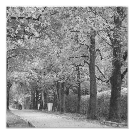 「アーチウェイ」の写真印刷 フォトプリント            (正面)