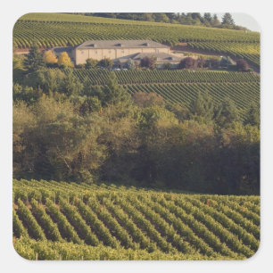 アーチェリーサミットタン建物は丘の上に座る スクエアシール