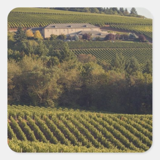 アーチェリーサミットタン建物は丘の上に座る スクエアシール (正面)