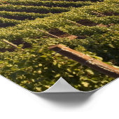 アーチェリーサミットタン建物は丘の上に座る ポスター (角)