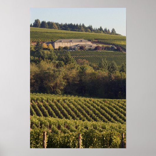 アーチェリーサミットタン建物は丘の上に座る ポスター (正面)