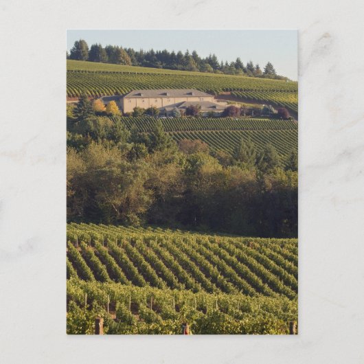 アーチェリーサミットタン建物は丘の上に座る ポストカード (正面)