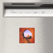 アーチス国立公園マグネット マグネット (インサイチュ (食洗機))