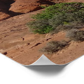 アーチス国立公園 ポスター (角)