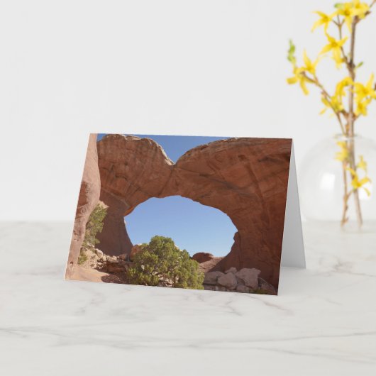 アーチズナショナルパークのアーチ切れ カード (黄色い花)