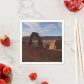 アーチズ国立公園のデリケートなアーチII スタンダードカクテルナプキン (インサイチュ)