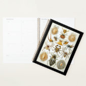 アーチニードズバイアーネスト・ヘイケルのヴィンテージのポスター プランナー手帳 (ディスプレー)