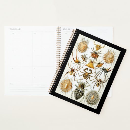 アーチニードズバイアーネスト・ヘイケルのヴィンテージのポスター プランナー手帳 (ディスプレー)