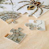 アーチニds by Ernst Haeckel、ヴィンテージ・スパイダーズ ジグソーパズル (側面)