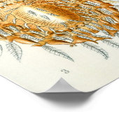 アーチニds by Ernst Haeckel、ヴィンテージ・スパイダーズ ポスター (角)