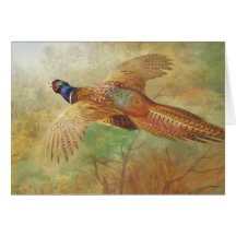 アーチバルト飛んでいるラバーンpheasant鳥のアートカード