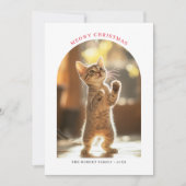 アーチフォトマイクリスマスレッドいけなかわいい猫 シーズンカード (正面)