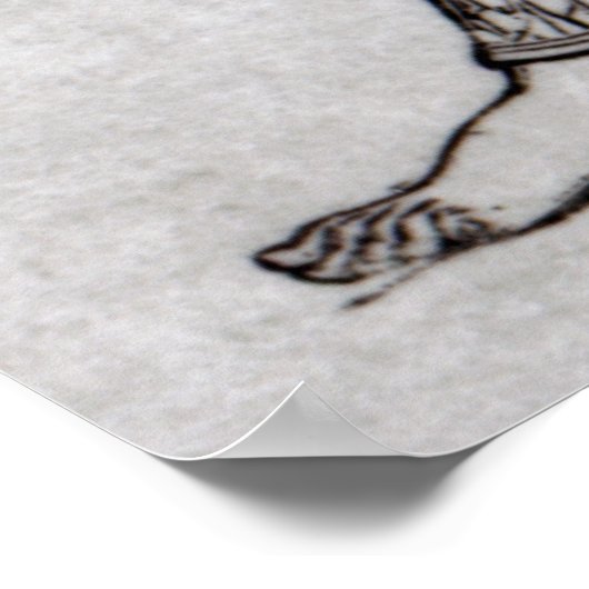 アーチャー ポスター (角)