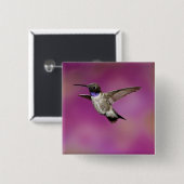 アーチロコス・ハチドリ 缶バッジ (正面&裏面)