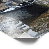 アーチーとニワトリ フォトプリント            (角)