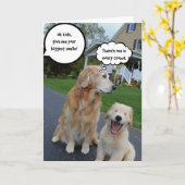 アーチーのアドベンチャーグ空白のロッティングカード13 カード (黄色い花)