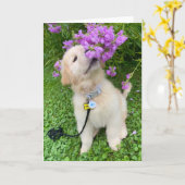 アーチーのアドベンチャーグ空白のロッティングカード5 カード (黄色い花)