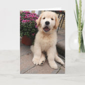 アーチーのアドベンチャーグ空白のロッティングカード5 カード (正面)