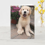 アーチーのアドベンチャーグ空白のロッティングカード5 カード (黄色い花)