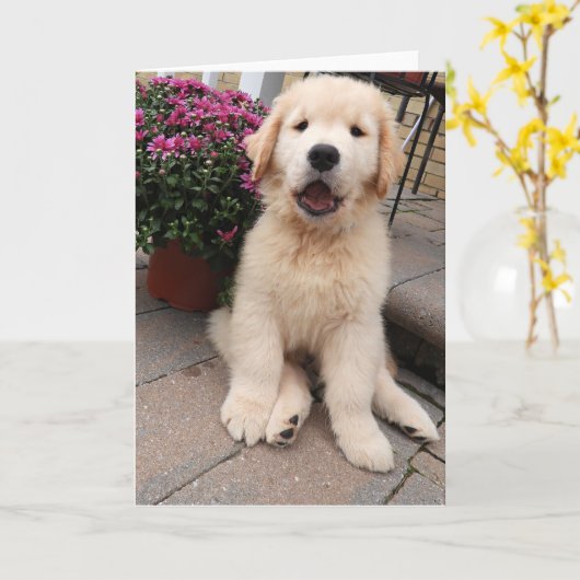 アーチーのアドベンチャーグ空白のロッティングカード5 カード (黄色い花)