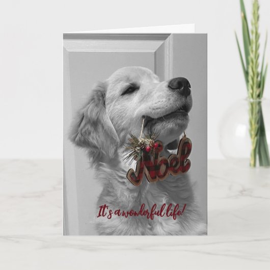 アーチーのアドベンチャー空白のグリーティングカード14 サンキューカード (正面)