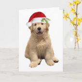 アーチーのクリスマス カード (黄色い花)