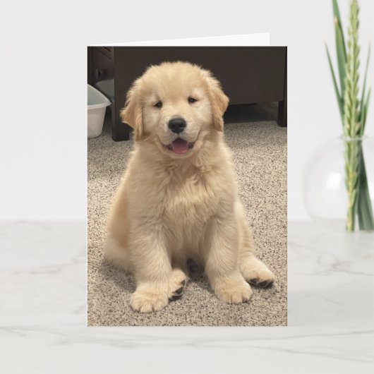 アーチーの冒険誕生日カード サンキューカード (正面)