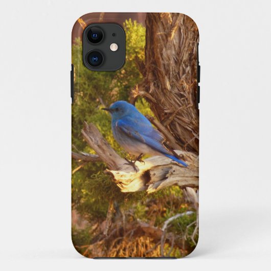 アーチーズ国立公園のルーテイコウチョウ Case-Mate iPhoneケース (裏面)