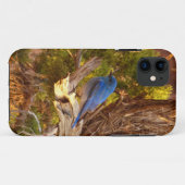 アーチーズ国立公園のルーテイコウチョウ Case-Mate iPhoneケース (裏面(横))