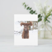 アーチーII ポストカード (スタンド正面)